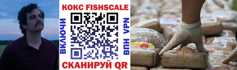 Cocaine FishScale  где купить наркоту  ссылка на мегу как войти  Шиханы 
