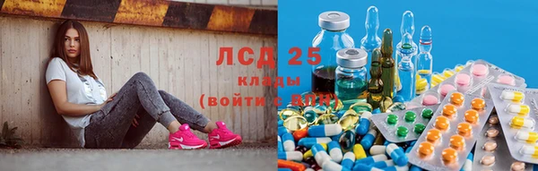 прущие крисы Нефтегорск