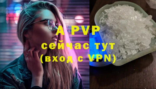 стаф Нефтекумск