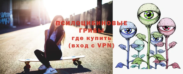 стаф Нефтекумск
