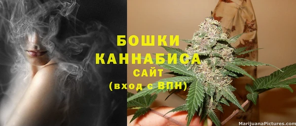 стаф Нефтекумск