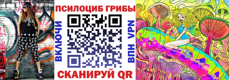 маркетплейс телеграм купить Шиханы Галлюциногенные грибы прущие грибы